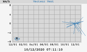 Wind Vector